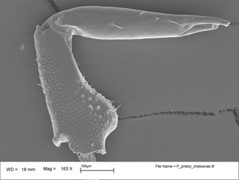Media type: image;   Invertebrate Zoology 147385   shows cataloged_item 147385